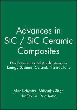 Advances in SiC / SiC Ceramic Composites