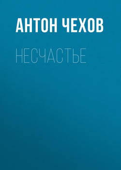 Несчастье
