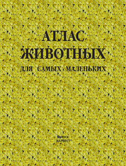 Атлас животных для самых маленьких