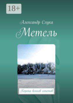 Метель. Корона венков сонетов