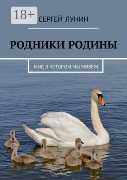 Родники Родины. Мир, в котором мы живём