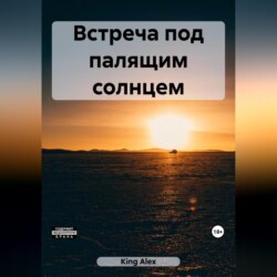 Встреча под палящим солнцем