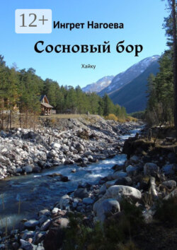 Сосновый бор