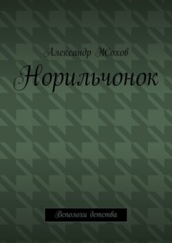 Норильчонок. Всполохи детства