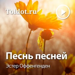 Песнь песней