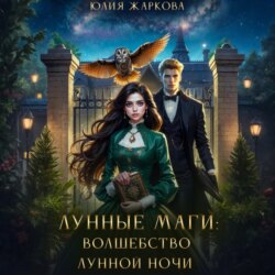 Лунные маги. Волшебство лунной ночи