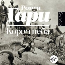 Корни неба