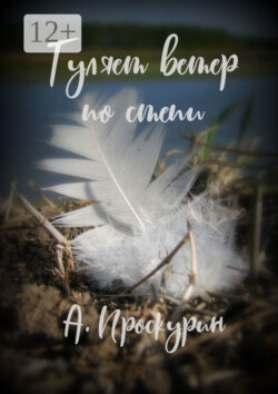 Гуляет ветер по степи