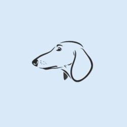 Знание — сила