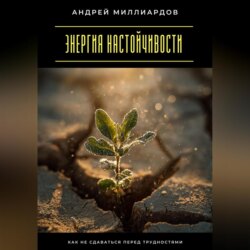 Энергия настойчивости. Как не сдаваться перед трудностями