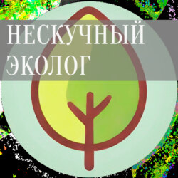 Экоотчетность без ошибок и штрафов: Защита бизнеса в эпоху ИИ-контроля