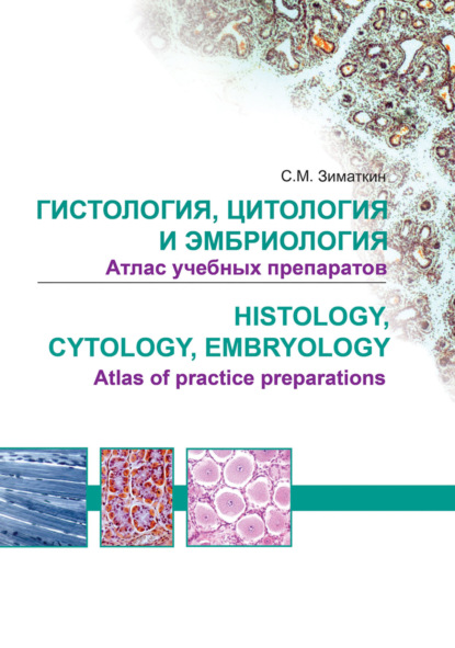 Гистология, цитология и эмбриология. Атлас учебных препаратов / Histology, Cytology, Embriology. Atlas of practice preparations