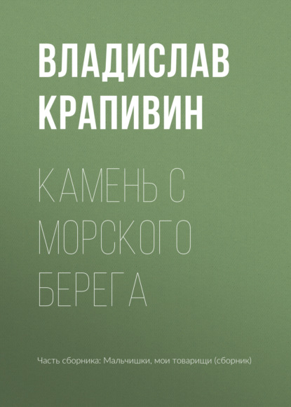 Камень с морского берега