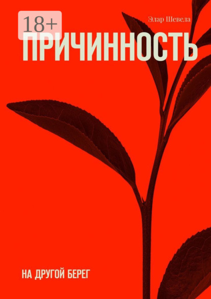 Причинность. На другой берег