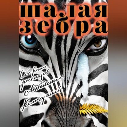 Шалая зебра