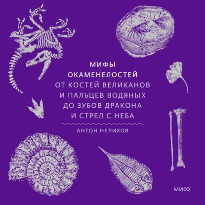 Мифы окаменелостей. От костей великанов и пальцев водяных до зубов дракона и стрел с неба