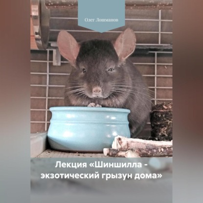 Лекция «Шиншилла – экзотический грызун дома»