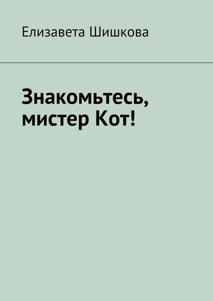 Знакомьтесь, мистер Кот!